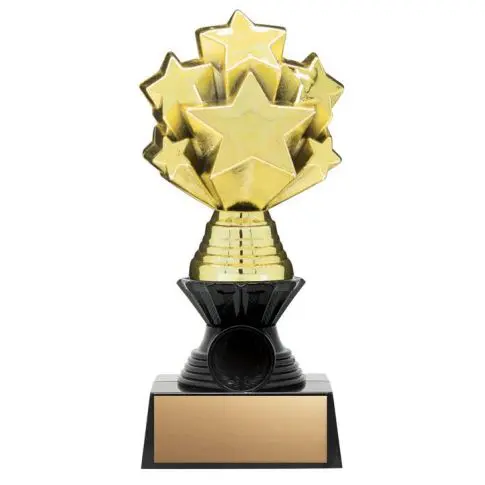 Golden star trophy with black base and blank plaque.