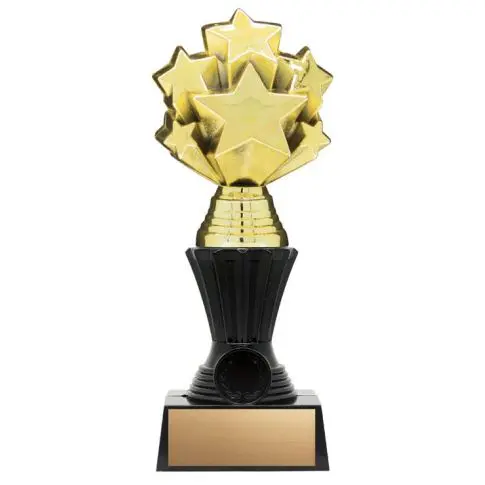 Gold star-shaped trophy with black base and blank nameplate.