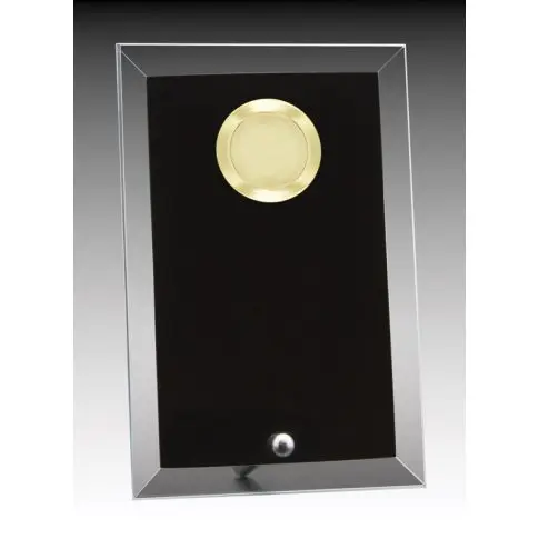 A sleek black award plaque with a gold circular emblem.