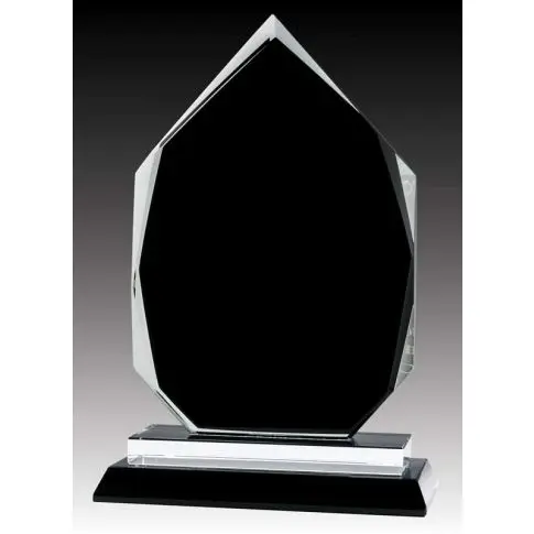 Clear glass award trophy with black center on a pedestal.
