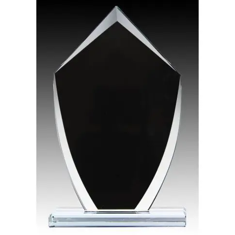 A sleek black and silver modern trophy on a clear base.