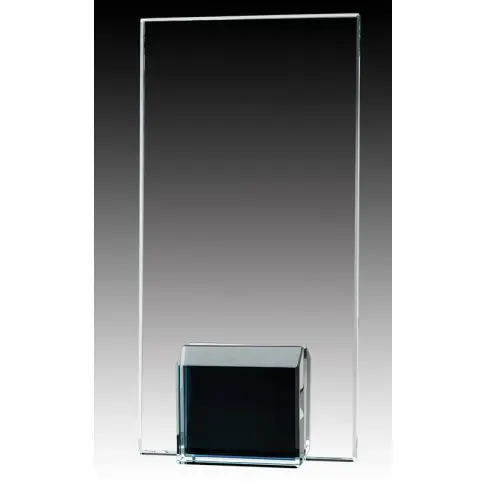 A clear glass trophy with a black base on a gradient background.
