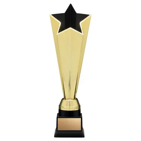 A gold trophy with a black star on top and a blank plaque.