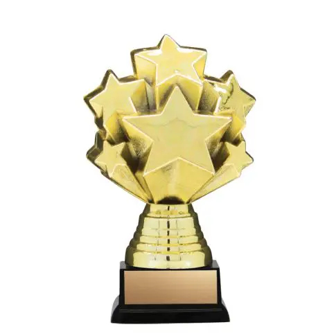 Gold star-shaped trophy on a black base.