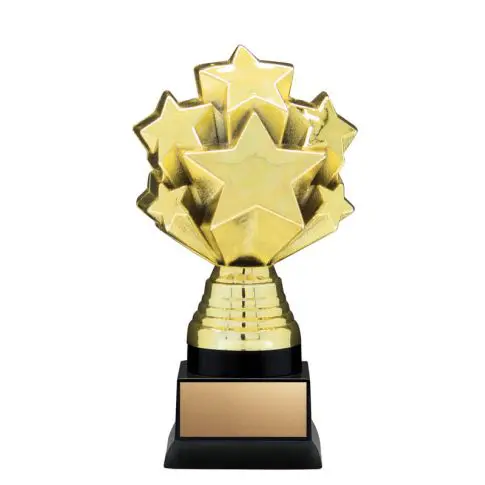 Gold star-shaped trophy with a black base.