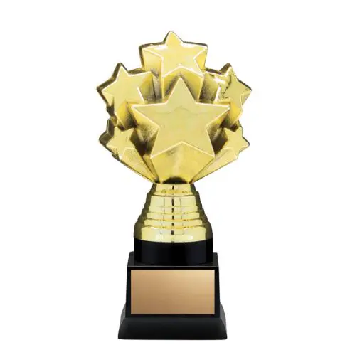 Gold star-shaped trophy on black base with blank plaque.