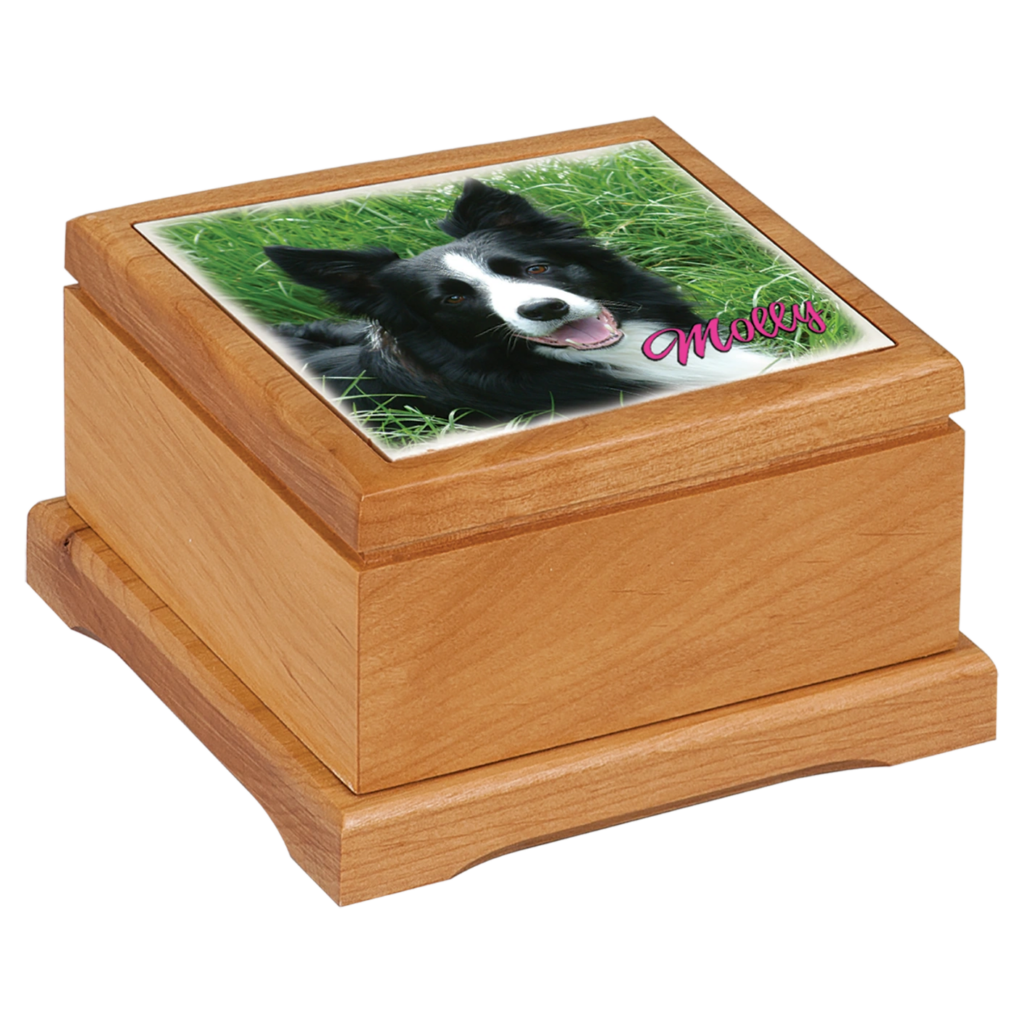 Wooden keepsake box with a photo of a black and white dog on the lid.