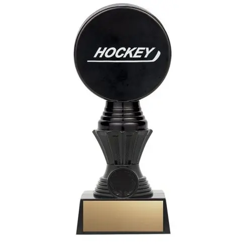 Black hockey trophy with gold plaque on a white background.