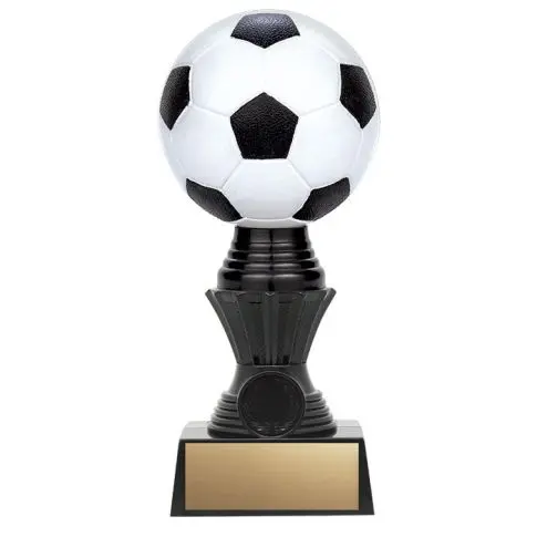 A soccer trophy with a black and white ball on top.