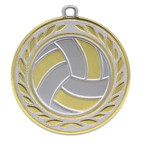 A silver and gold medal featuring a volleyball design.