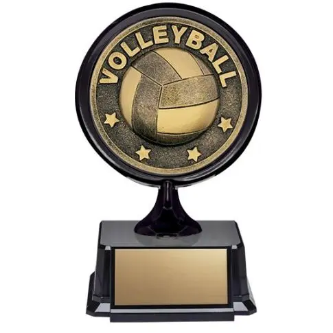 A volleyball trophy with a golden ball and black base.