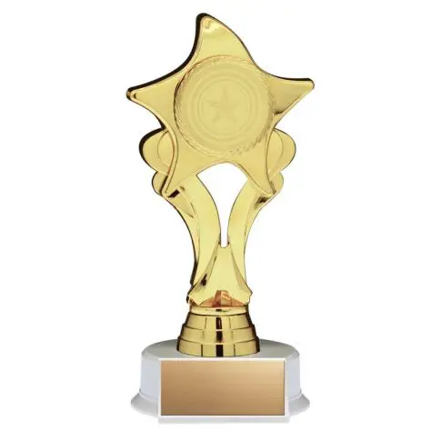 Golden star-shaped trophy on a white base.