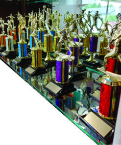 A "Traditional" Trophy(Column & Figure)